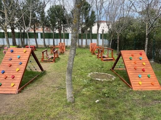 Survivor ve Denge Platformları