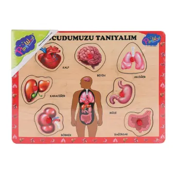 Vücudumuzu Tanıyalım Ahşap Eğitici Puzzle